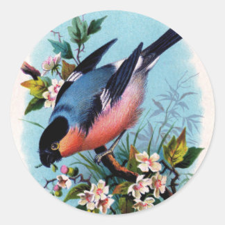 Vintager Retro-Bird auf einem Sticker für eine Ver