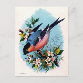 Vintager Retro-Bird auf einer Zweigstellenkarte Postkarte