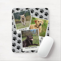 Vintager Retro Sofort 3-Pet-Foto-Rahmen-Drucke