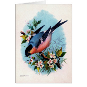 Vintager Retro Vogel auf Niederlassungs-Karte