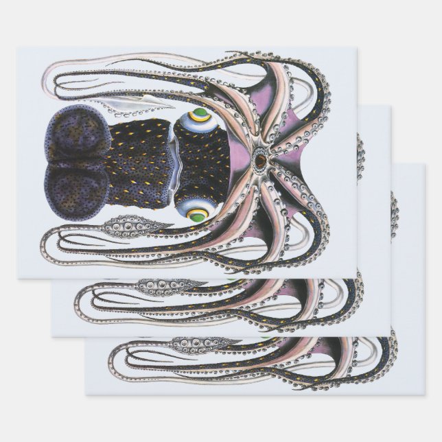 Vintager Riesen-Tintenfisch oder Oktopus, Meeresti Geschenkpapier Set (Set)