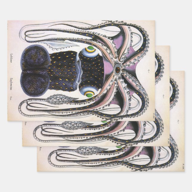 Vintager Riesen-Tintenfisch oder Oktopus, Meeresti Geschenkpapier Set (Set)