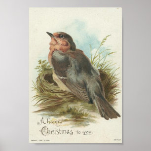 Vintager Robin, Weihnachten Poster