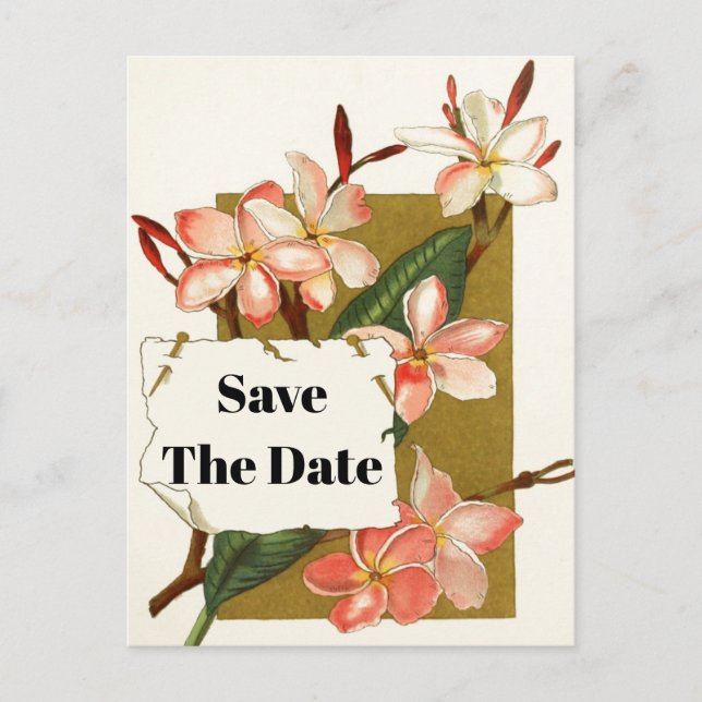 Vintager Rosa Korallenoleander Save the Date Ankündigungspostkarte (Vorderseite)