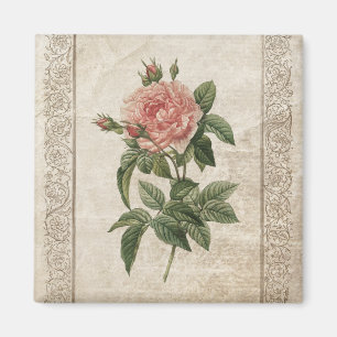 Vintager rosa Rosenmagnet Magnet