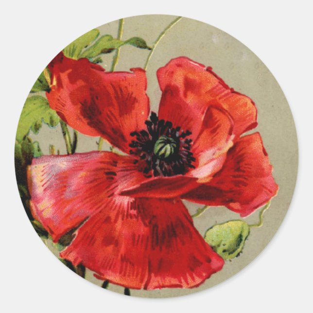 Vintager Roter Mohn Runder Aufkleber (Vorderseite)