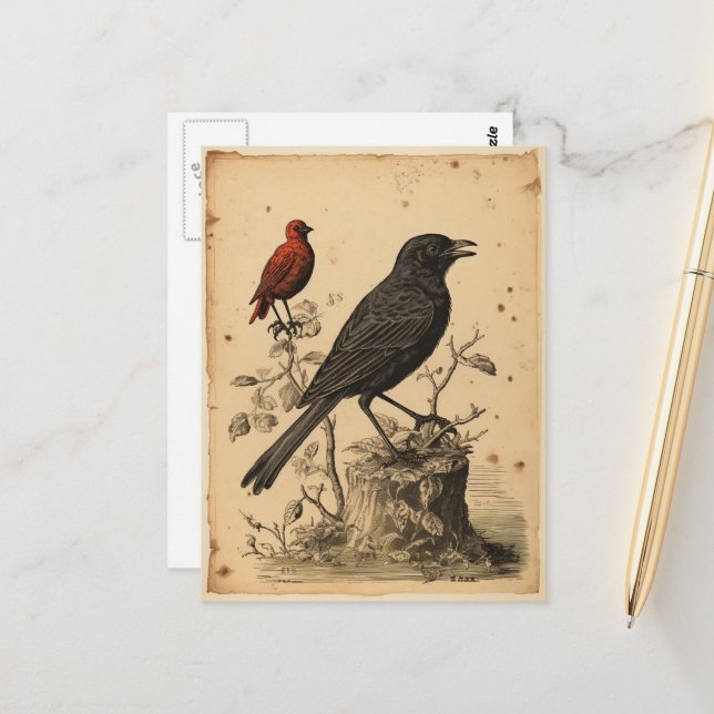 Vintager Roter Vogel und Raven Postkarte (Vorderseite/Rückseite Beispiel)