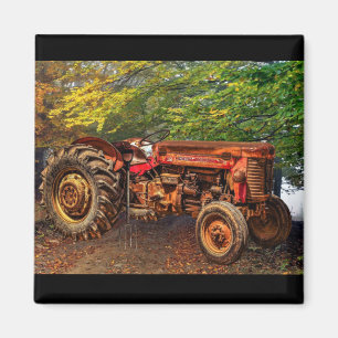 Vintager roter Zuchttraktor Magnet