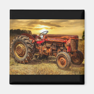 Vintager roter Zuchttraktor Magnet