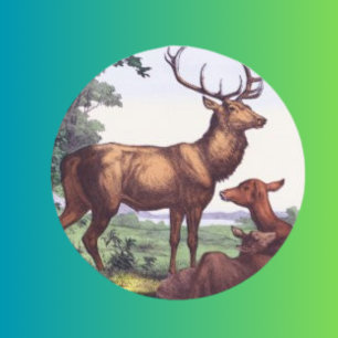 Vintager Rundaufkleber für Hirsche Runder Aufkleber