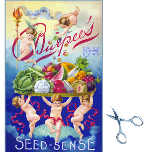 Vintager Saatkatalog Burpee Seed Sense & Babies! Seidenpapier