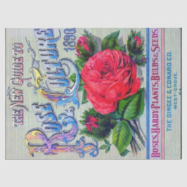 Vintager Saatkatalog Dingee Conard Rose Culture Seidenpapier