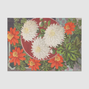 Vintager Saatkatalog Große farbige Blume Seidenpapier