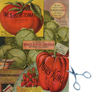 Vintager Saatkatalog Maule's Ruby King Seidenpapier