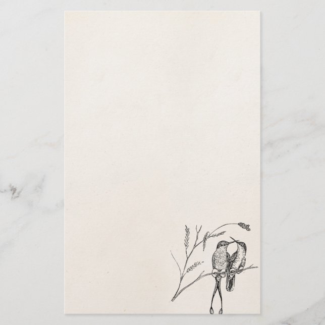 Vintager Schläger-Schwanz-Kolibri-personalisierter Briefpapier (Vorderseite)