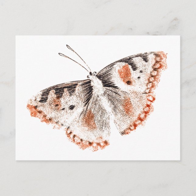 Vintager Schmetterling Alte Illustration Postkarte (Vorderseite)