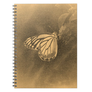 Vintager Schmetterling auf Blume - Notebook Notizblock