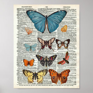 Vintager Schmetterling botanisches #2 auf Poster