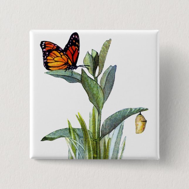 Vintager Schmetterling Button (Vorderseite)