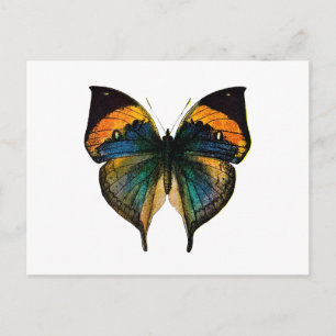Vintager Schmetterling - Der antike Schmetterling  Postkarte