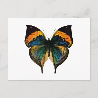 Vintager Schmetterling - Der antike Schmetterling Postkarte