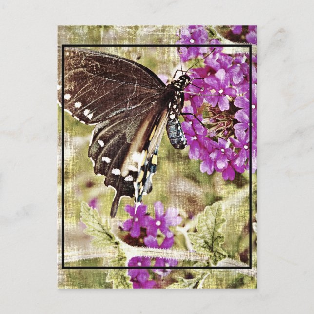 Vintager Schmetterling mit Blume Postkarte (Vorderseite)