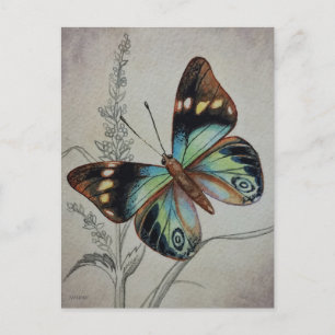 Vintager Schmetterling Nr. 1 Aquarellkunst Postkarte