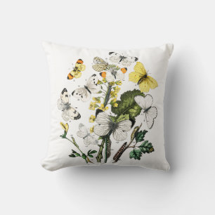 Vintager Schmetterling Papillon Alte Illustration Kissen