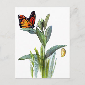 Vintager Schmetterling Postkarte