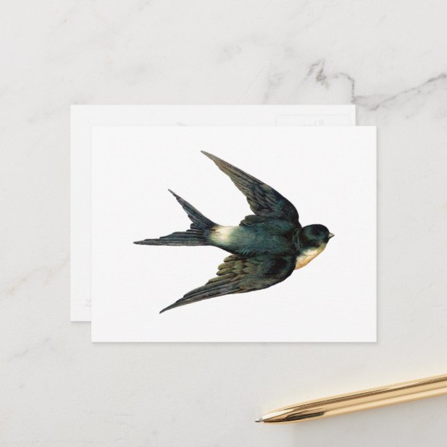 Vintager Schwalbenschwanz Vogelantike Illustration Postkarte (Vorderseite/Rückseite Beispiel)