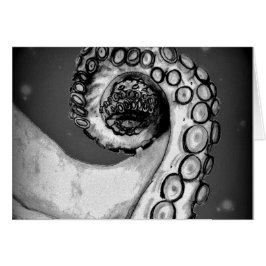 Vintager Schwarz-Weiß-Oktopus-Tentakel