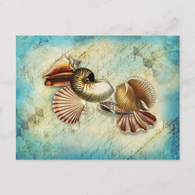 Vintager Seashell Ocean Blue Postkarte (Vorderseite)