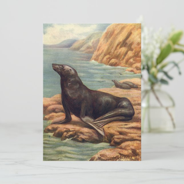 Vintager Seelöwe an der Küste, Meeressäugetiere (Stehend Vorderseite)