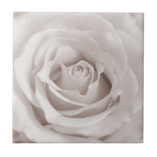 Vintager Sepia-weiße u. Fliese