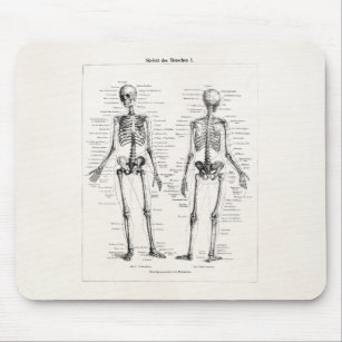 Vintager Skeleton menschlicher Anatomie-Knochen Mousepad