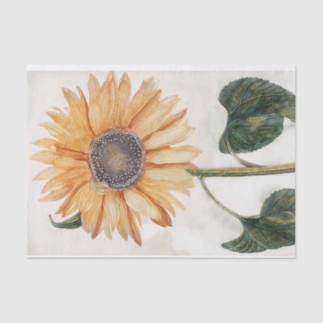Vintager Sonnenblumengarten Deko-Blume Seidenpapier (Vorderseite)