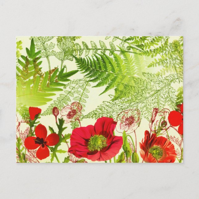 Vintager Sonnenschein blühende Poppies floral Postkarte (Vorderseite)