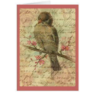 Vintager Sparrow