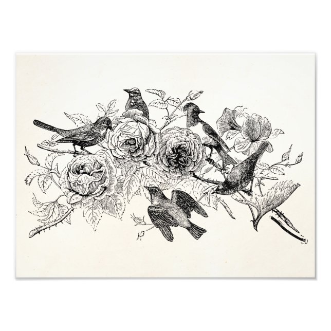 Vintager Sparrow Birds Personalisierter Sparrows B Fotodruck (Vorne)