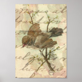 Vintager Sparrow mit handgeschriebenem Hintergrund Poster