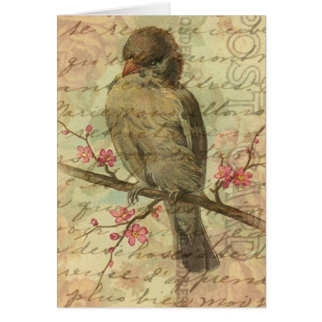Vintager Spatz (Vorne)