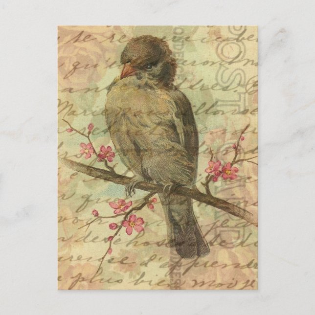 Vintager Spatz Postkarte (Vorderseite)