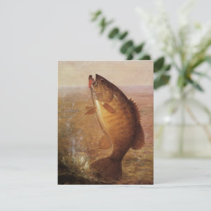 Vintager Sportfisch, Largemouth Brown Bass Fish