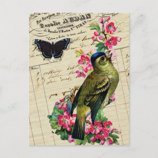 Vintager Springbrust Postkarte (Vorderseite)