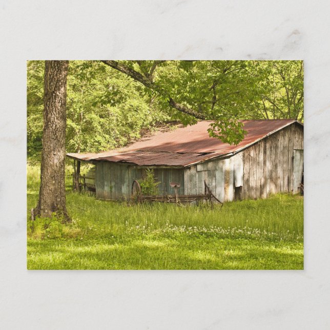 Vintager Stall im Frühjahr Grün - Tennessee Postkarte (Vorderseite)