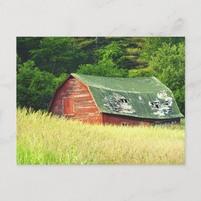 Vintager Stall in den Adirondacks, N. Y. Postkarte (Vorderseite)