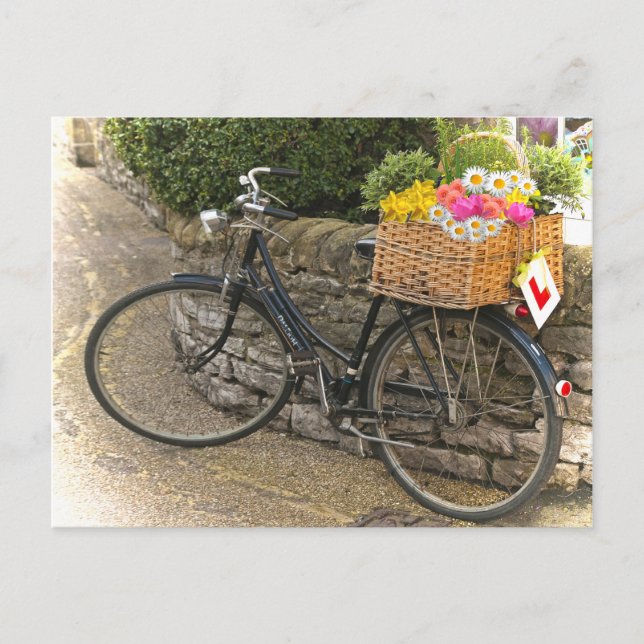 Vintager Stil Fahrrad Blume Foto Postkarte (Vorderseite)