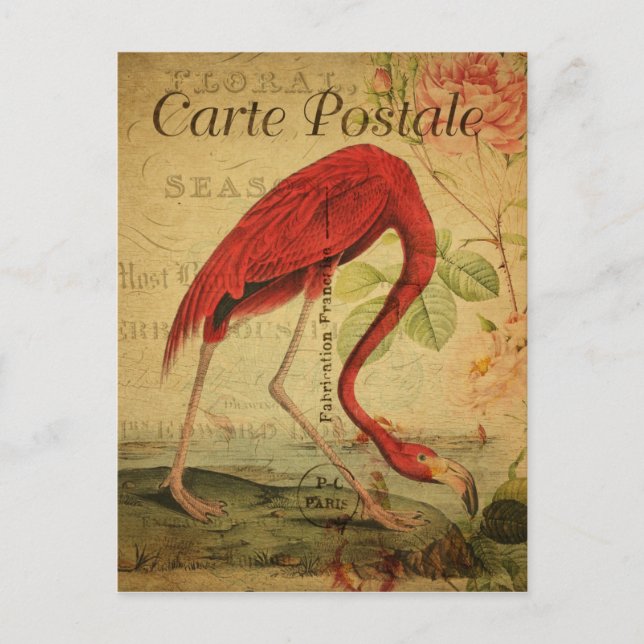 Vintager Stil Flamingo Postkarte (Vorderseite)