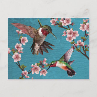Vintager Stil Hummingbird Painting Postcard Postkarte