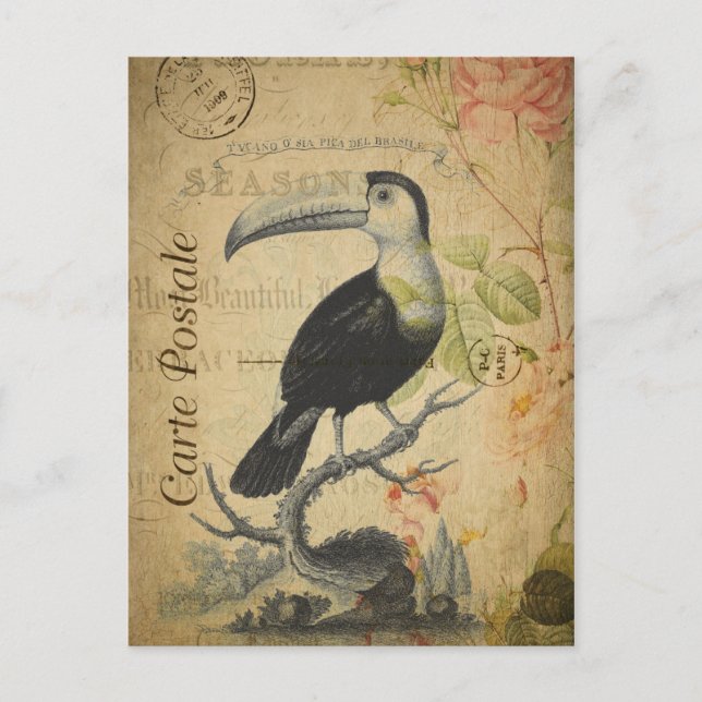 Vintager Stil Toucan French Carte Postale Postkarte (Vorderseite)